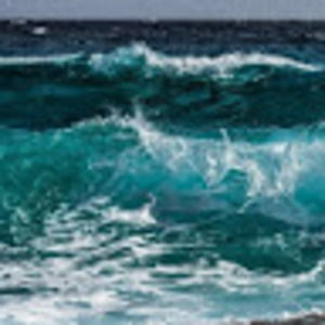 Meet your Posher, Anne